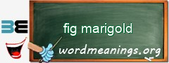 WordMeaning blackboard for fig marigold